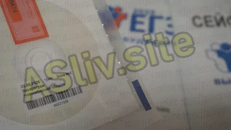 Ответы по литературе 23.05.2025 ЕГЭ Новосибирская область